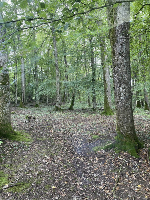 Terrain à METTING