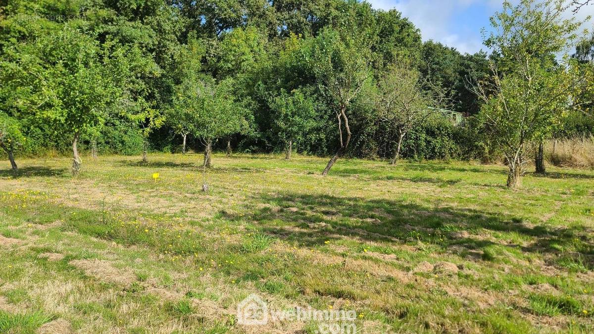 Parcelle de 352m² - Terrain à TALMONT-SAINT-HILAIRE