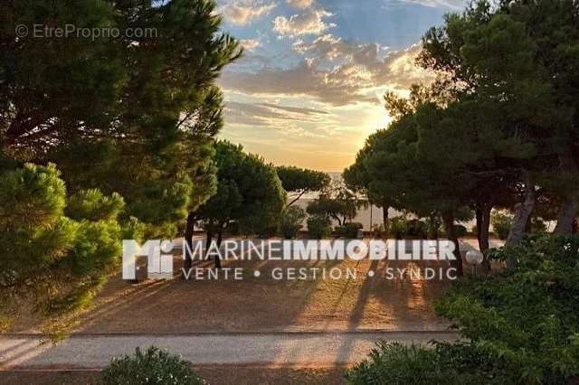 Appartement à ARGELES-SUR-MER