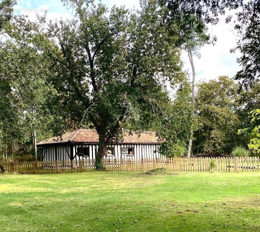 Maison à SAINT-SYMPHORIEN