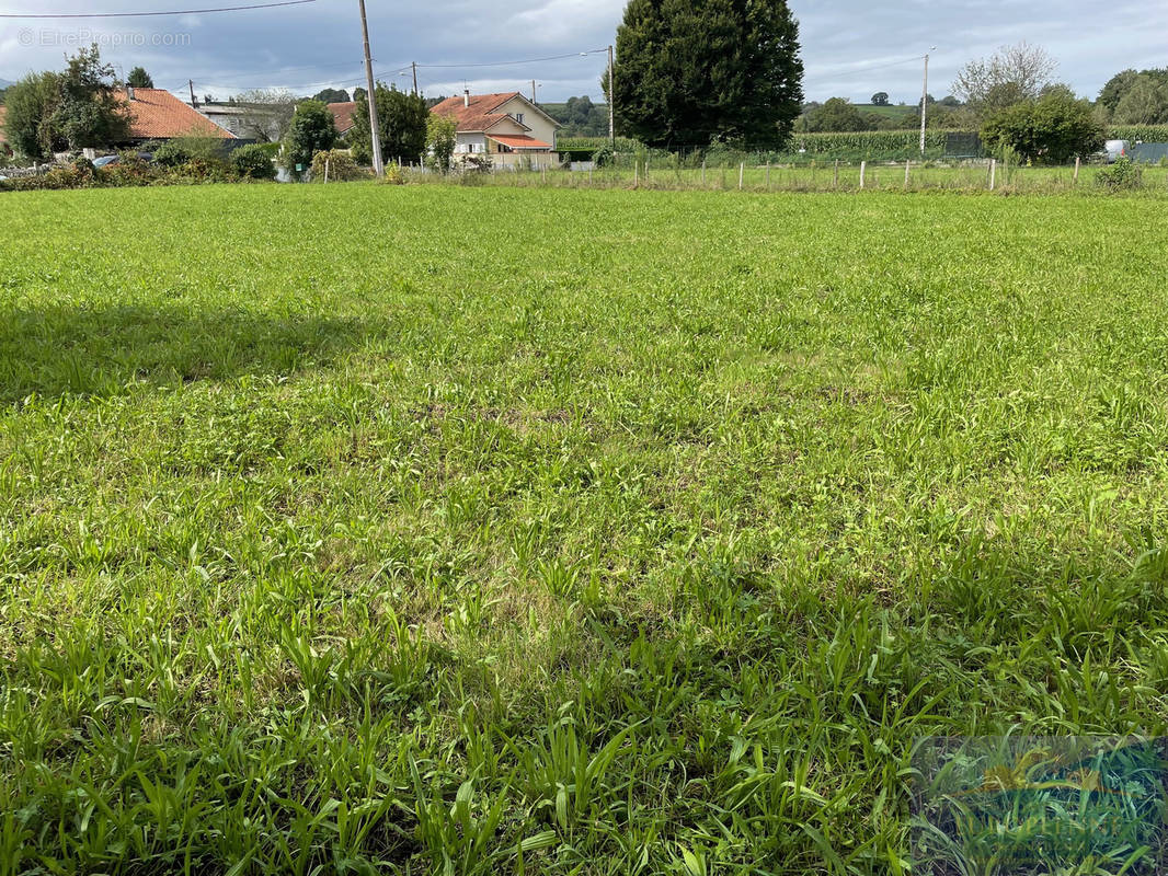 Terrain à PONTACQ