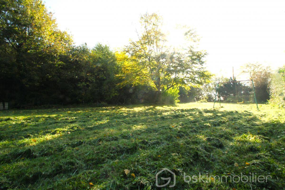 Terrain à COURPALAY