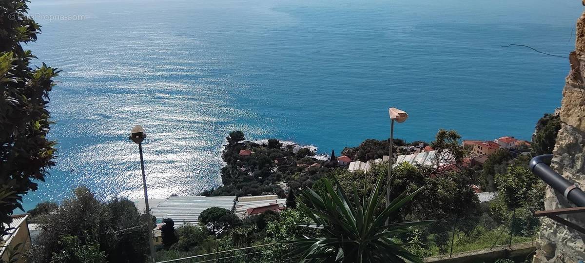 Maison à MENTON