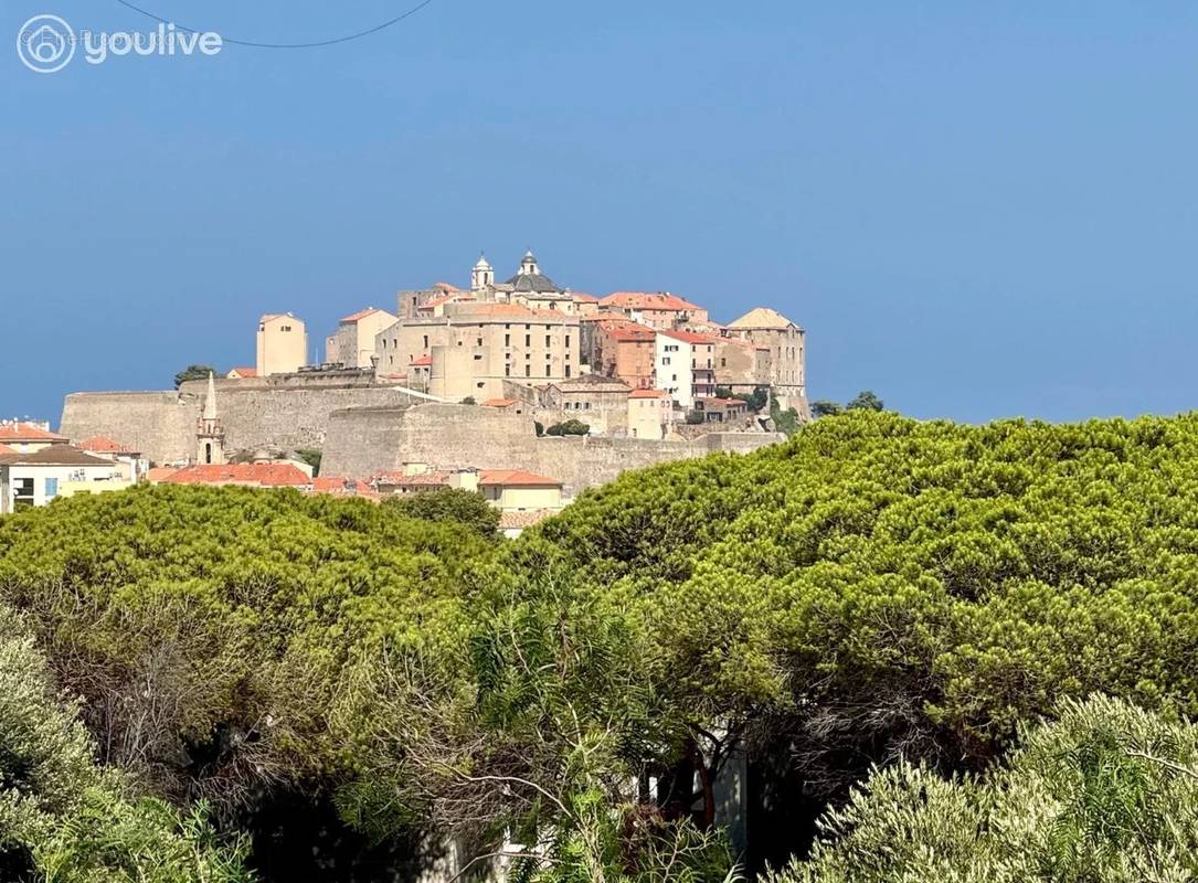 Maison à CALVI