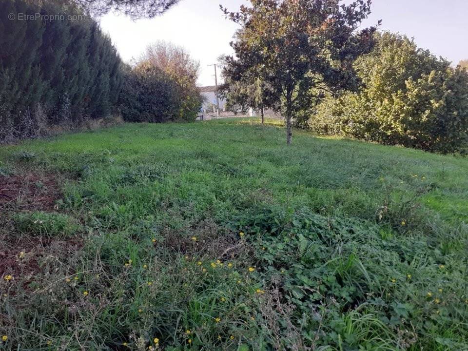 Terrain à TALMONT-SUR-GIRONDE