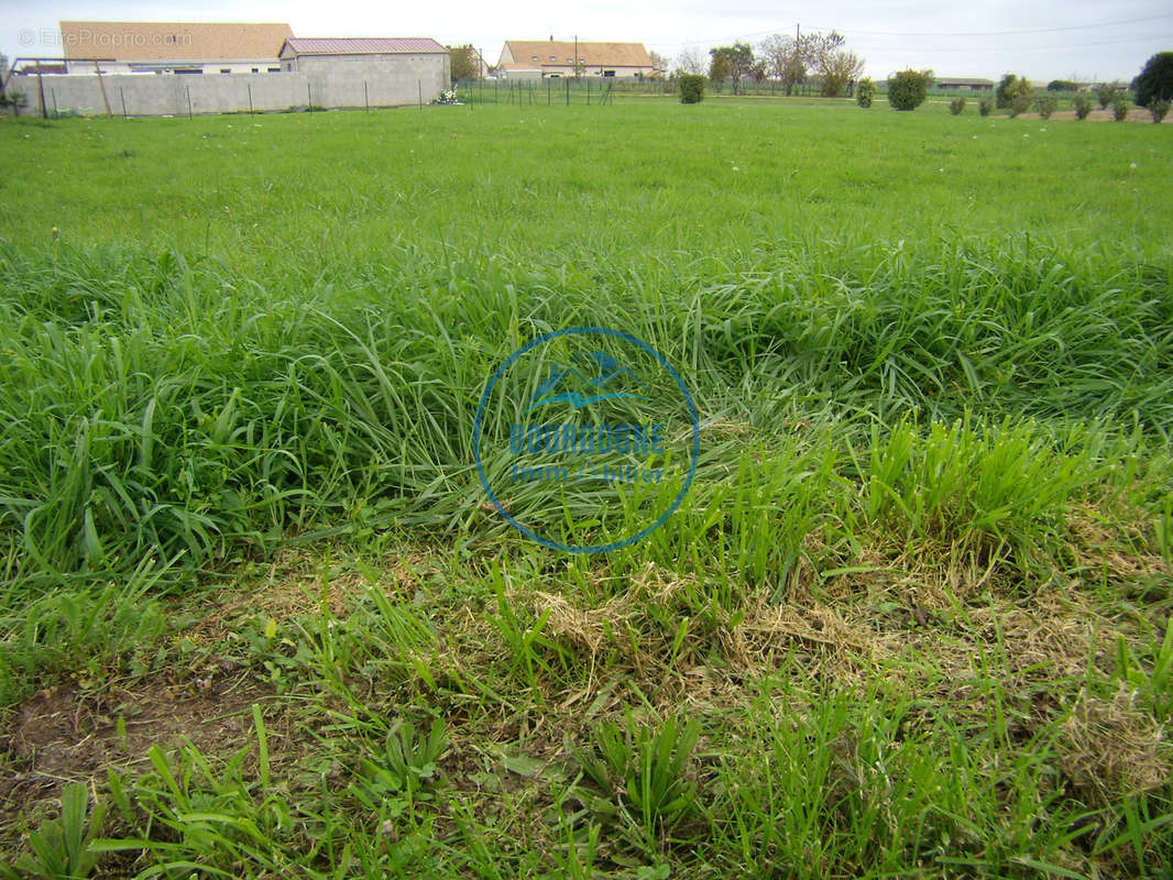 Terrain à MARNAY