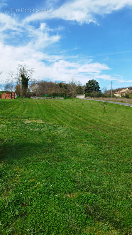 Terrain à SAINT-SULPICE-SUR-LEZE