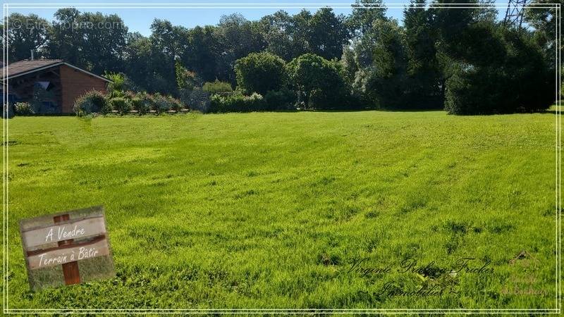 Terrain à SALIGNAC