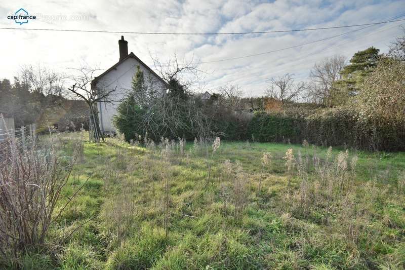 Maison à MEUSNES