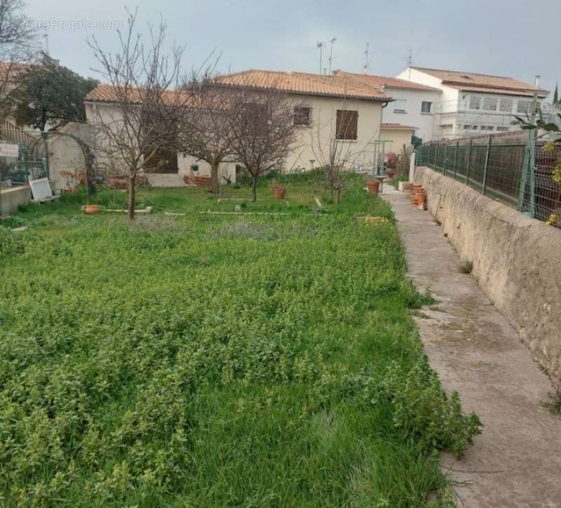 Maison à FRONTIGNAN