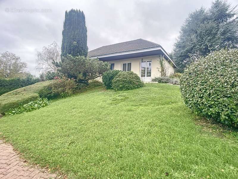 Maison à LA MEMBROLLE-SUR-CHOISILLE