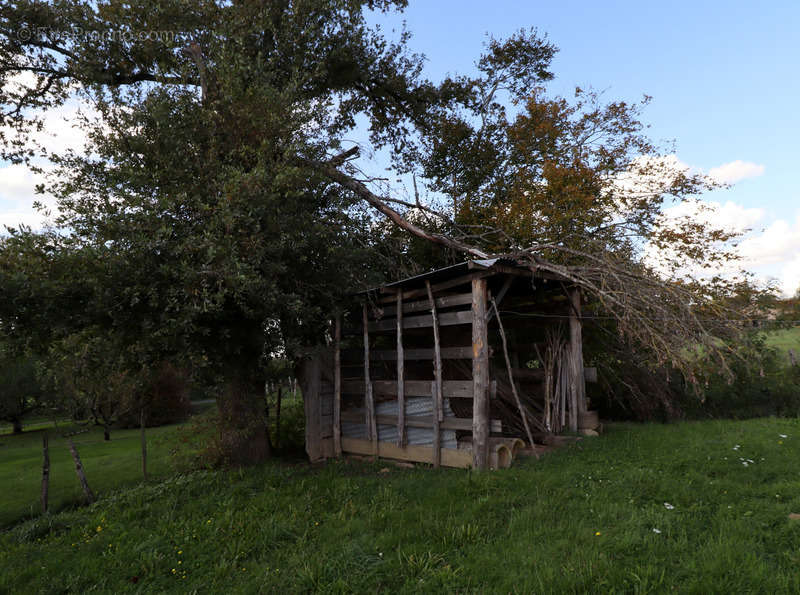 Maison à SAINT-JULIEN-SUR-REYSSOUZE