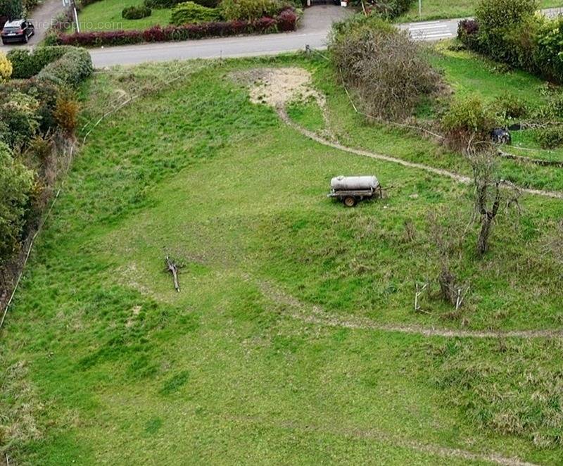 Terrain à NEUNKIRCHEN-LES-BOUZONVILLE