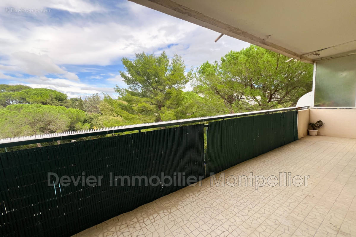 Appartement à MONTPELLIER