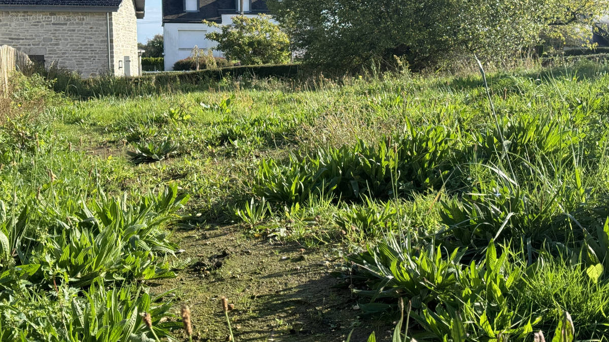 Terrain à SAINT-CAST-LE-GUILDO