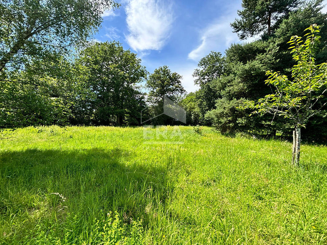 Terrain à SAINT-REMY-L&#039;HONORE