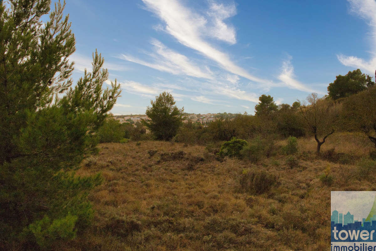 Terrain à SALLES-D&#039;AUDE