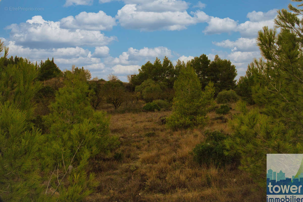 Terrain à SALLES-D&#039;AUDE