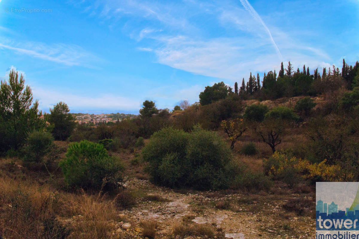 Terrain à SALLES-D&#039;AUDE