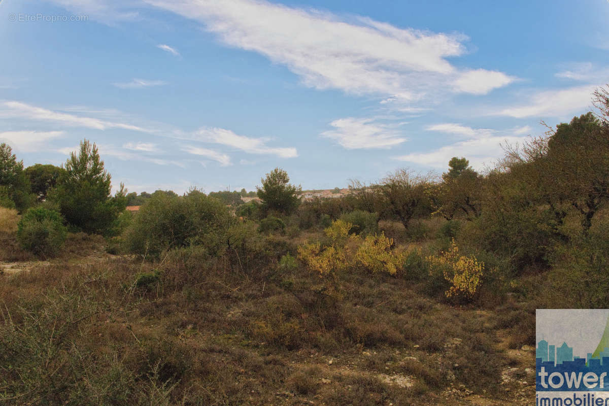 Terrain à SALLES-D&#039;AUDE