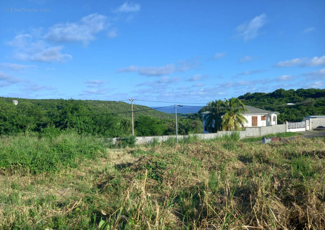 Terrain à LE MARIN