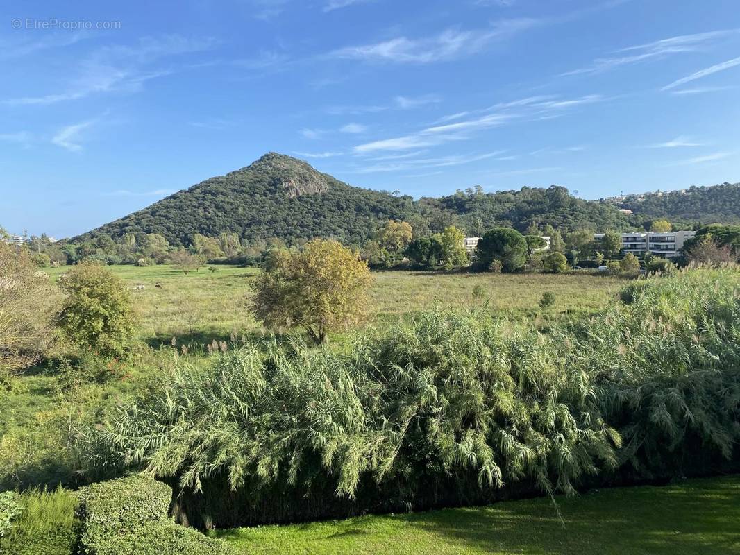 Appartement à MANDELIEU-LA-NAPOULE