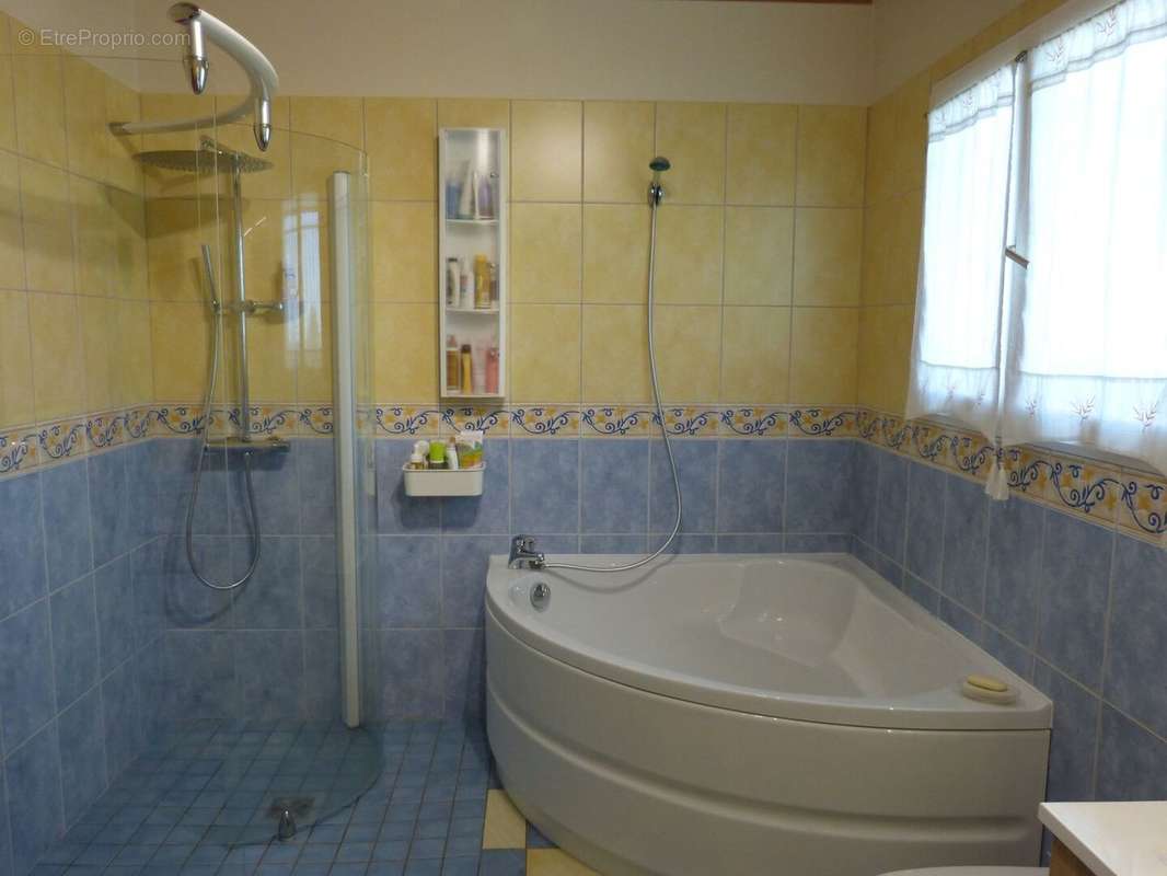 m sdb douche baignoire i - Maison à ORIEUX