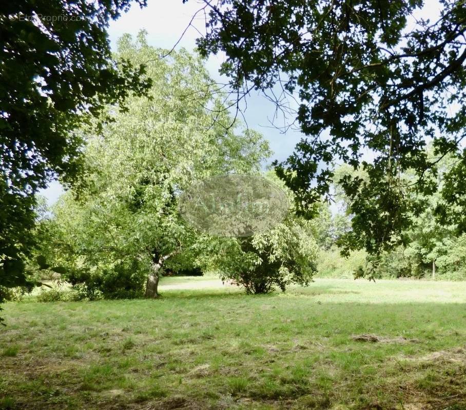 Terrain à TOULOUSE