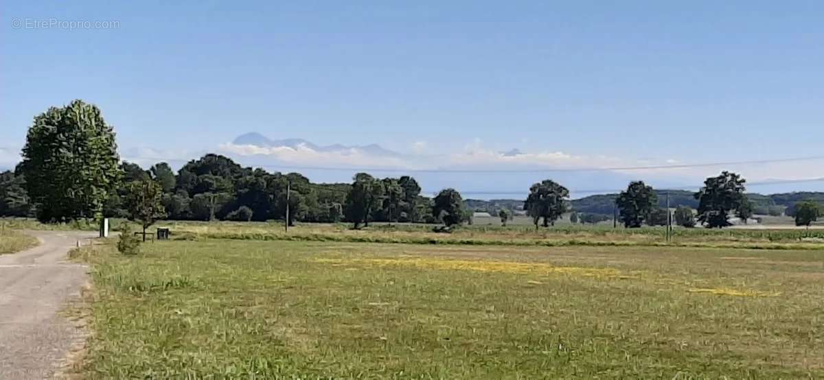 Terrain à RABASTENS-DE-BIGORRE