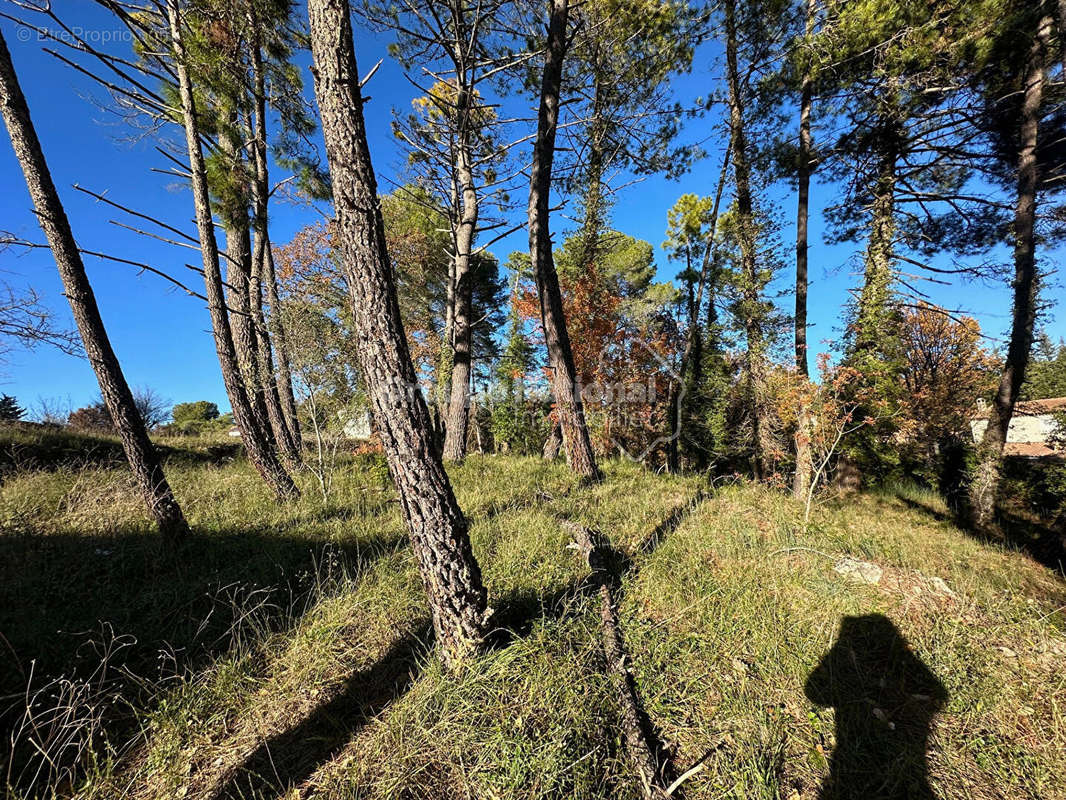 Terrain à CALLIAN