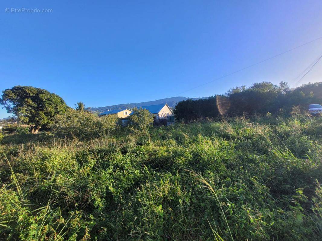 Terrain à SAINT-LOUIS