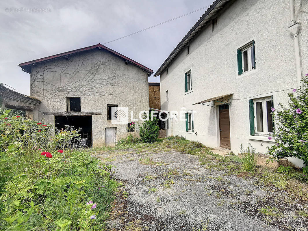 Maison à MASSIEUX