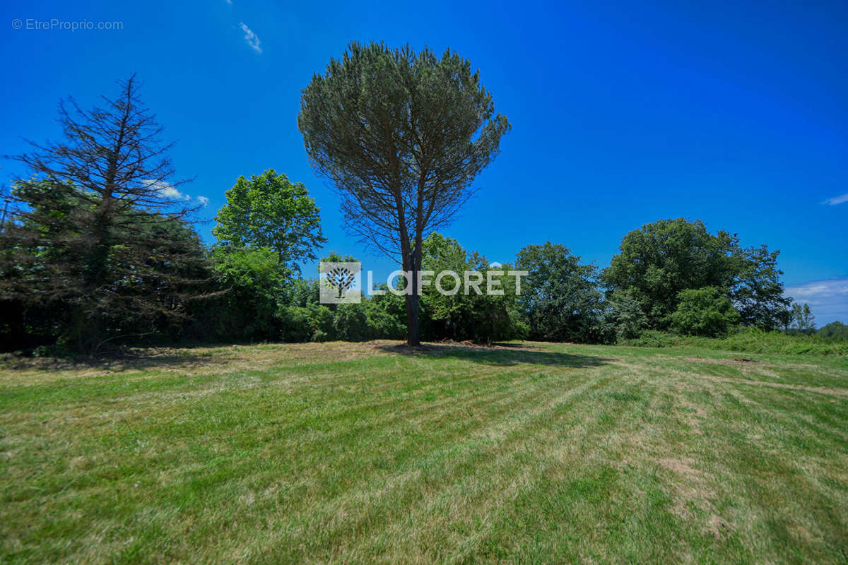 Terrain à PARISOT