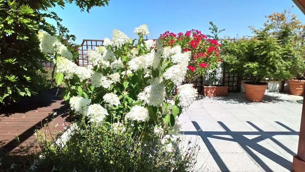 Appartement à CHATILLON