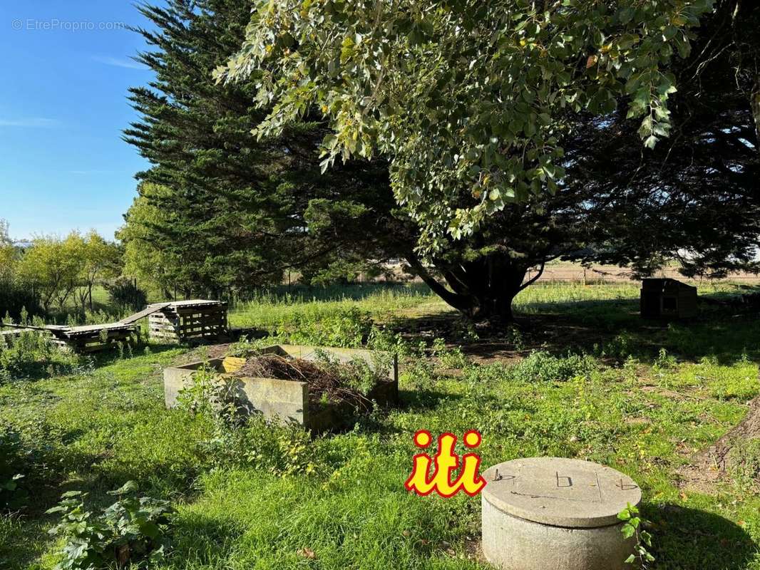 Terrain à SAINT-HILAIRE-DE-RIEZ