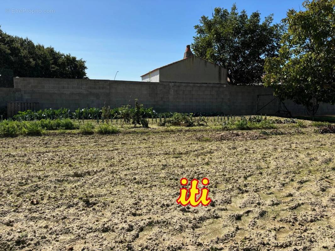 Terrain à CHATEAU-D&#039;OLONNE