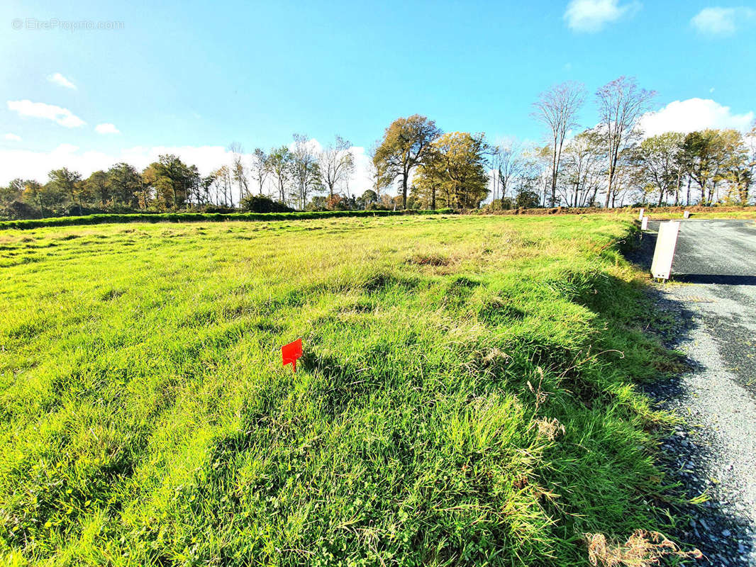 Terrain à QUIMPER