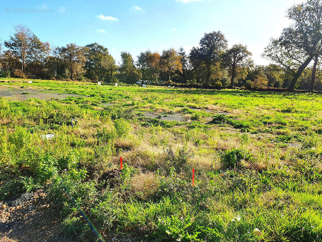 Terrain à QUIMPER