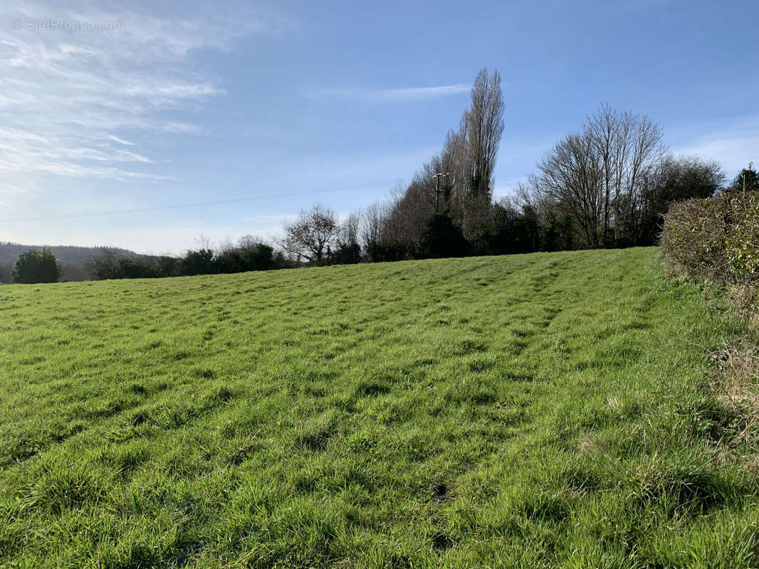 Terrain à TOUROUVRE