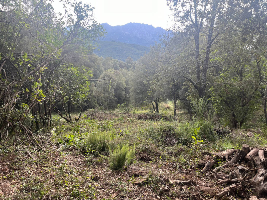 Terrain à VERO