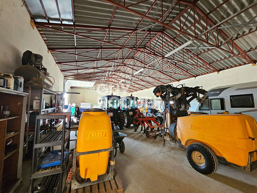 Commerce à ROQUEFORT-DES-CORBIERES