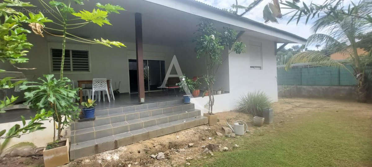 Maison à CAYENNE