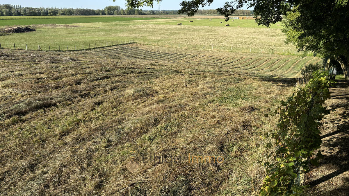 Terrain à MONTCEAUX-LES-VAUDES