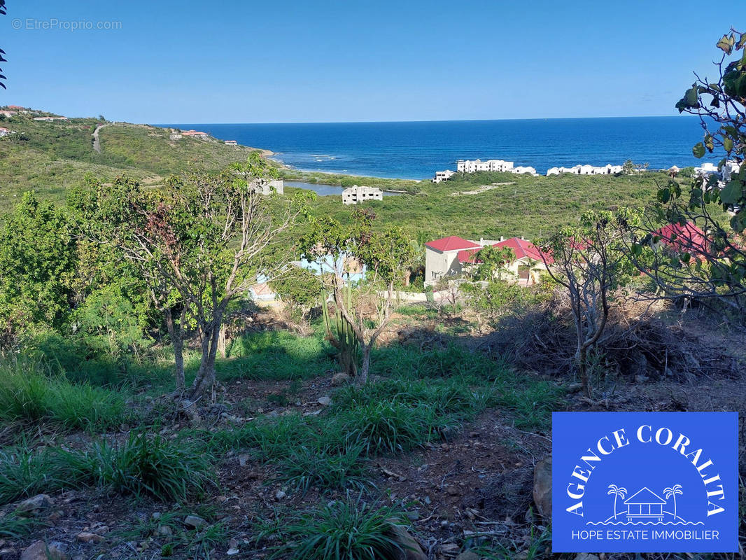 belle vue du terrain - Terrain à SAINT-MARTIN