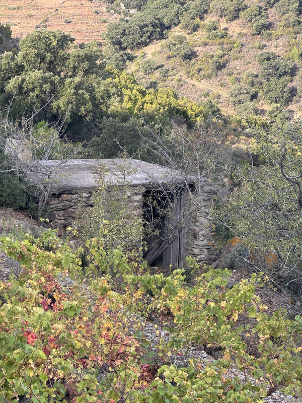 Terrain à PORT-VENDRES