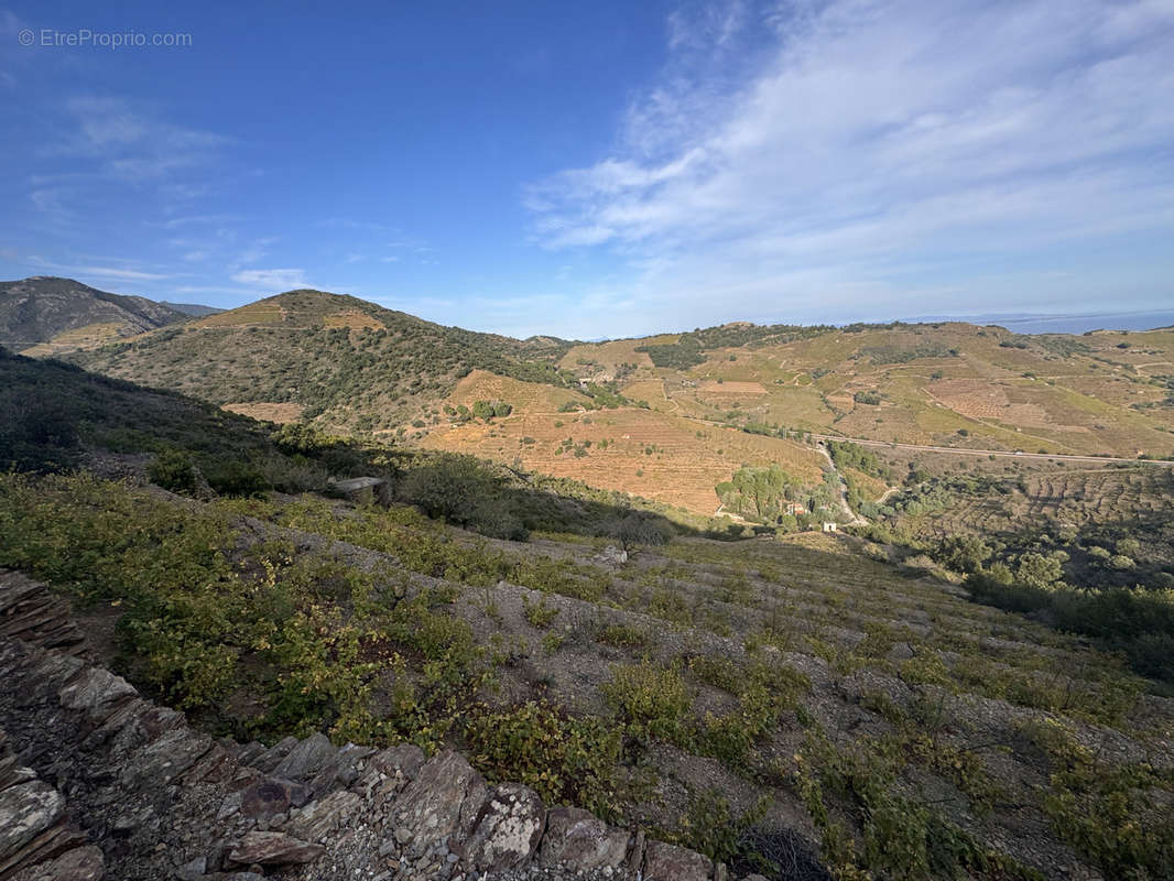 Terrain à PORT-VENDRES