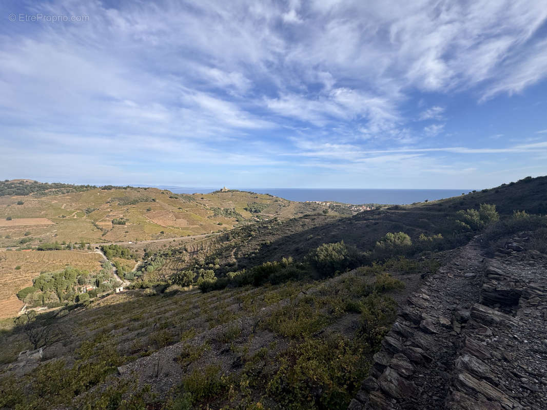 Terrain à PORT-VENDRES