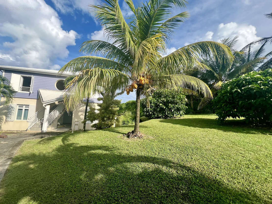 Appartement à LE MOULE