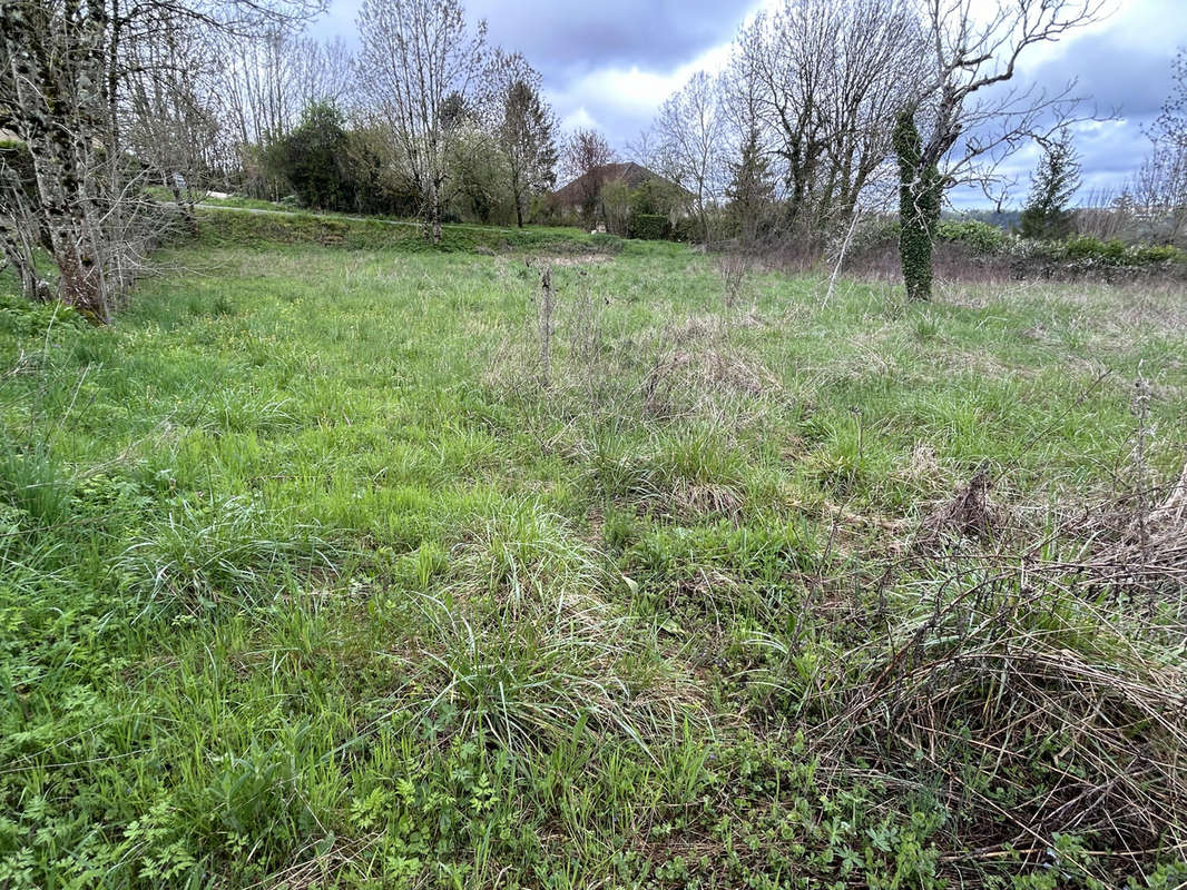 Terrain à LABASTIDE-MURAT