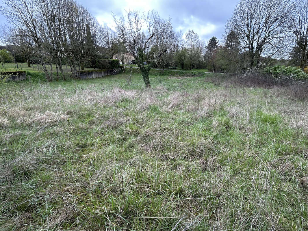 Terrain à LABASTIDE-MURAT